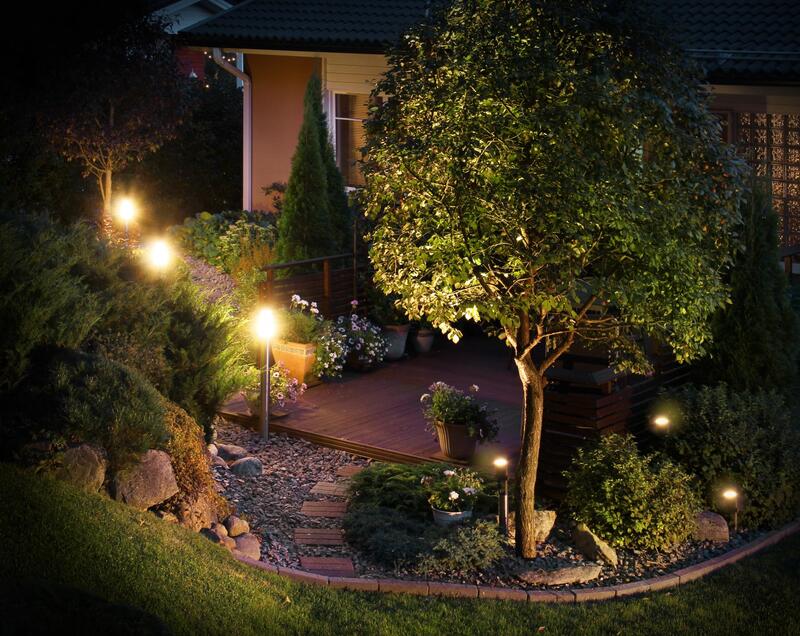 landscaping lit up at night